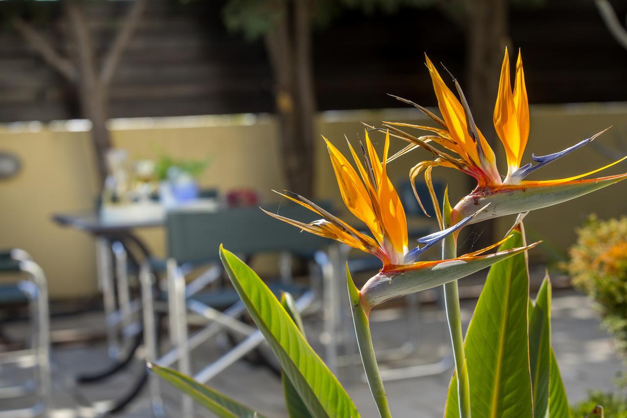 Ayia Napa Tropical Beach Villa Dış mekan fotoğraf